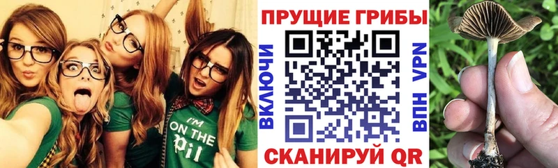 Псилоцибиновые грибы мухоморы  сколько стоит  Опочка 